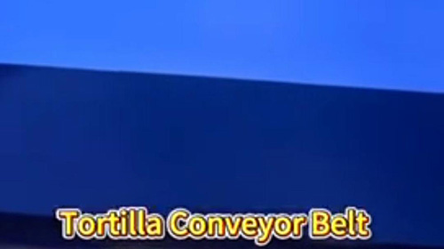 Innovative application and advantages of PTFE belt in food production line
